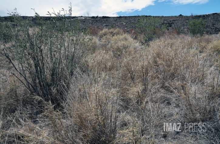 sécheresse cap la houssaye