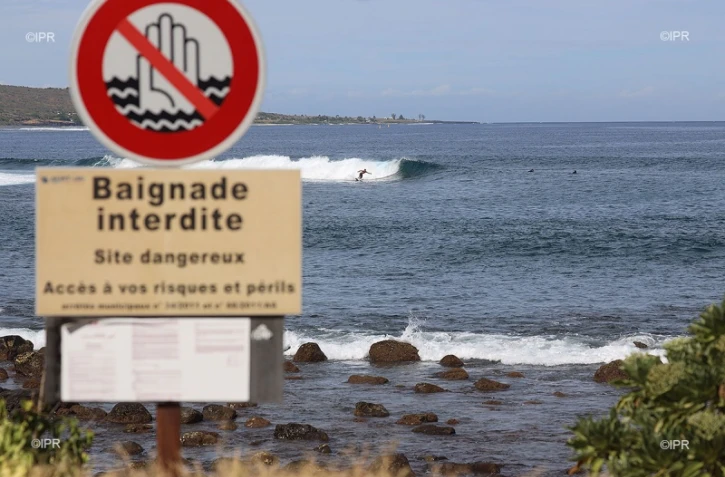 panneaux requins 