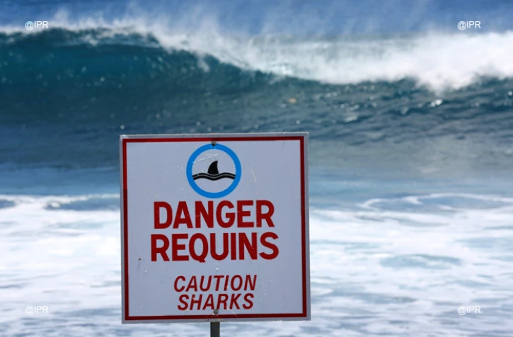Panneaux requins