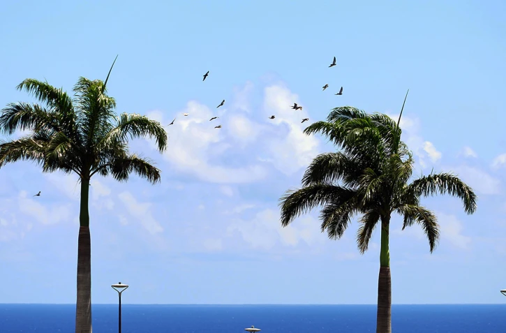 Météo Réunion 