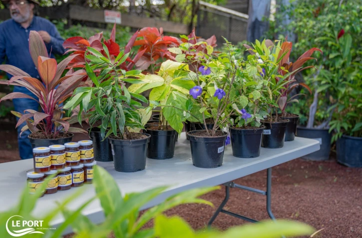 Jardins et Balcons Fleuris 2023 Le POrt