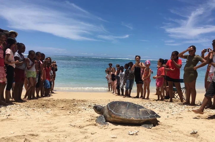 Journée des tortues marines 2018 Kélonia