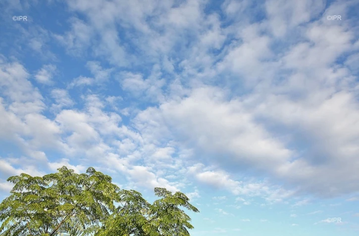 météo réunion 