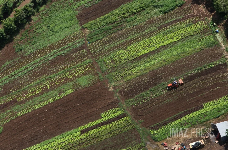aérienne agriculture 