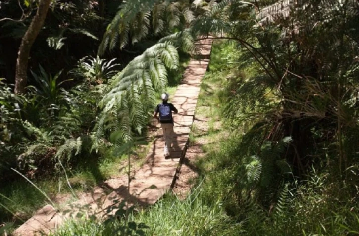 sentier