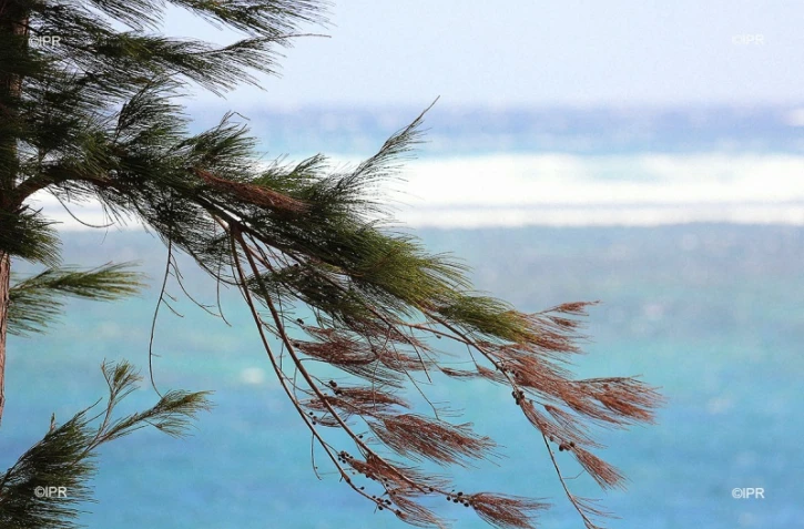 Météo Réunion 