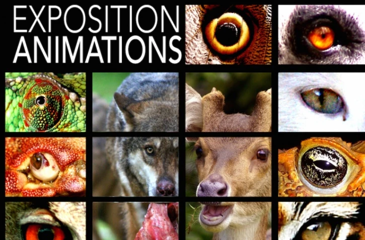 exposition bras fusil