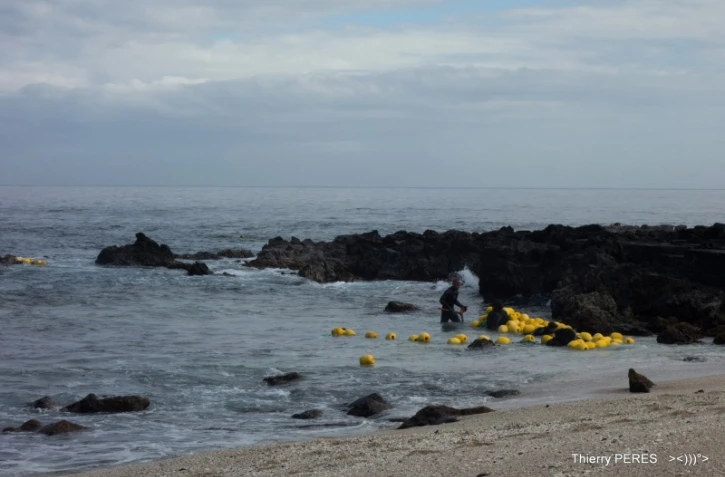 Boucan Canot - Filet anti-requins