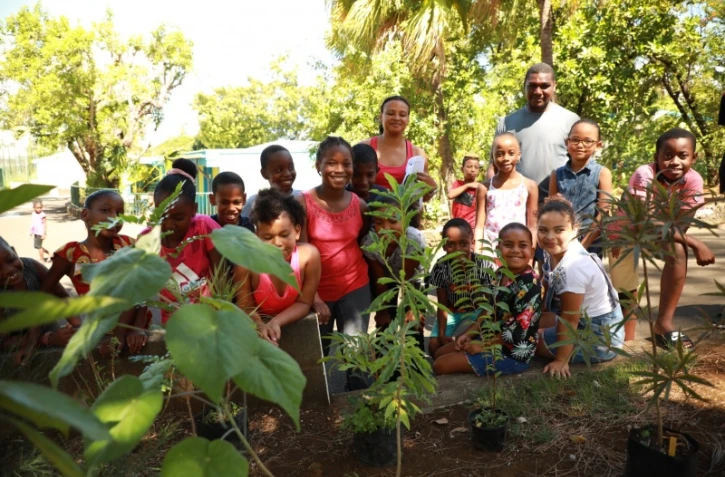 Plantation de plantes endémiques