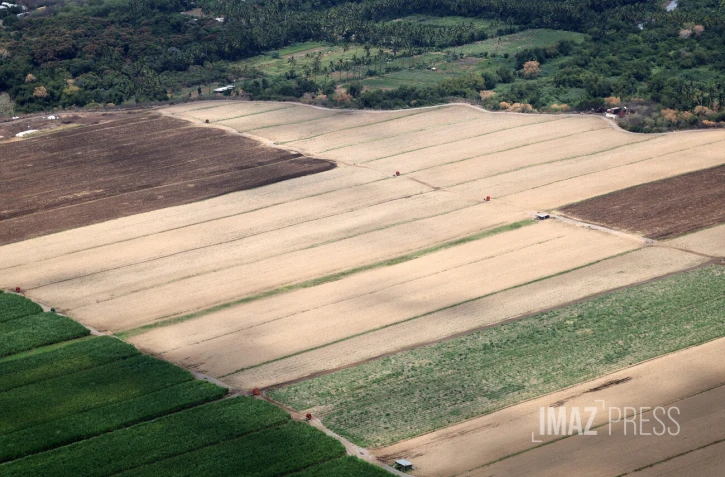 terrain agricole ouest