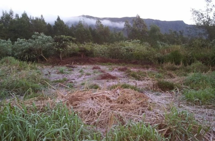 Givre à Grand Coude