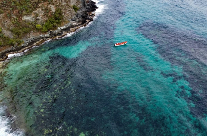 Vue aérienne de la zone de Valle Seco, État d'Aragua, où une colonie du corail mou Unomia stolonifera a été détectée, prise le 21 avril 2023