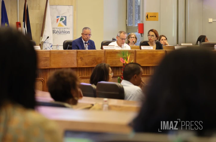 assemblée plénière du département 