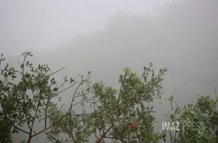 météo, brouillard