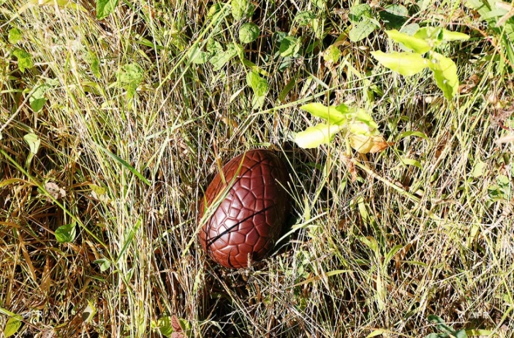 oeuf de pâques