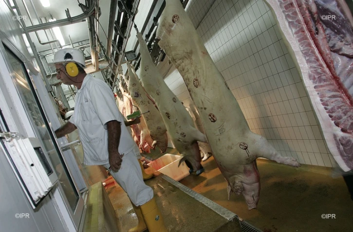 Abattoir 