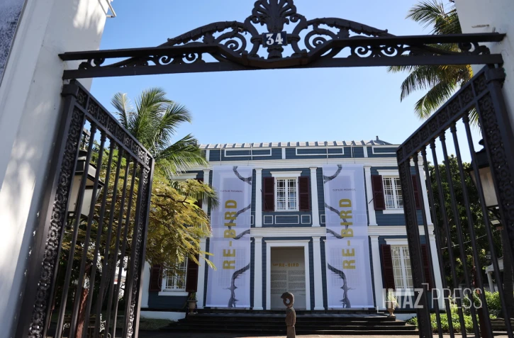  ARTOTHEQUE