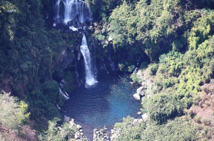 Bassin des Cormorans