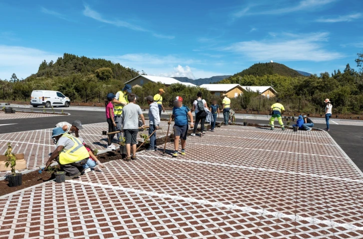 plantation végétaux école du Tampon sur le site du volcan