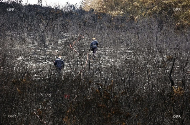 incendie du Maïdo 2020 