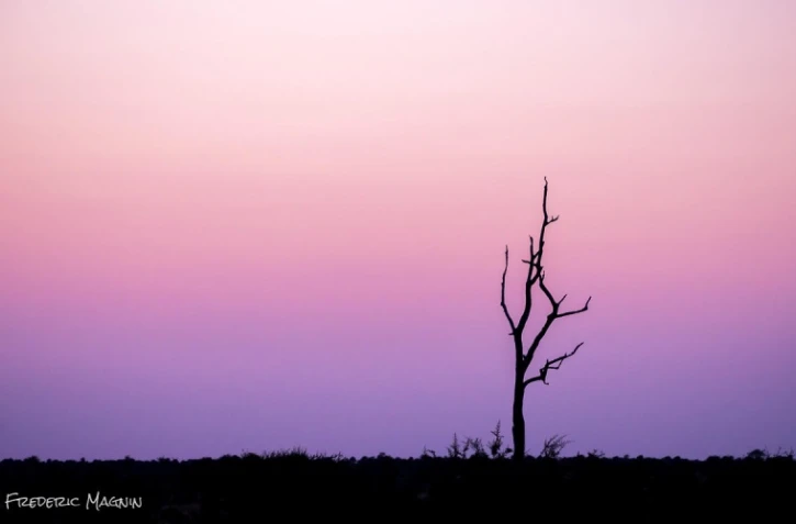 photographe, Frédéric Magnin, amateur, passionné, photo, cliché, image