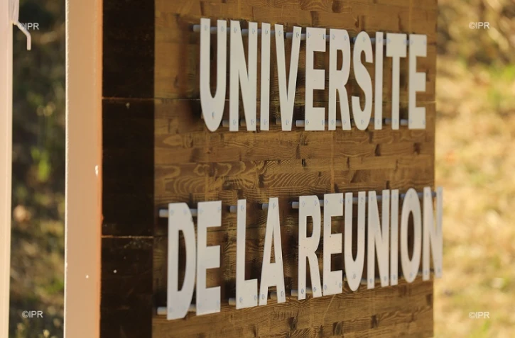 université de la réunion 