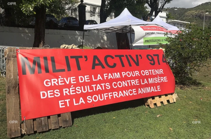 Animaux