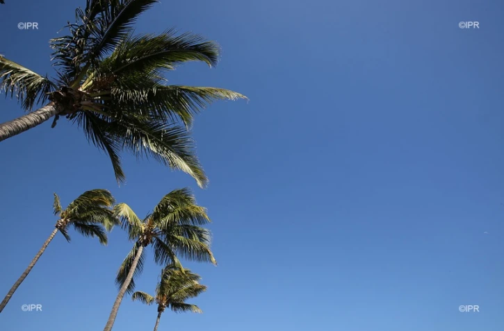 météo réunion 