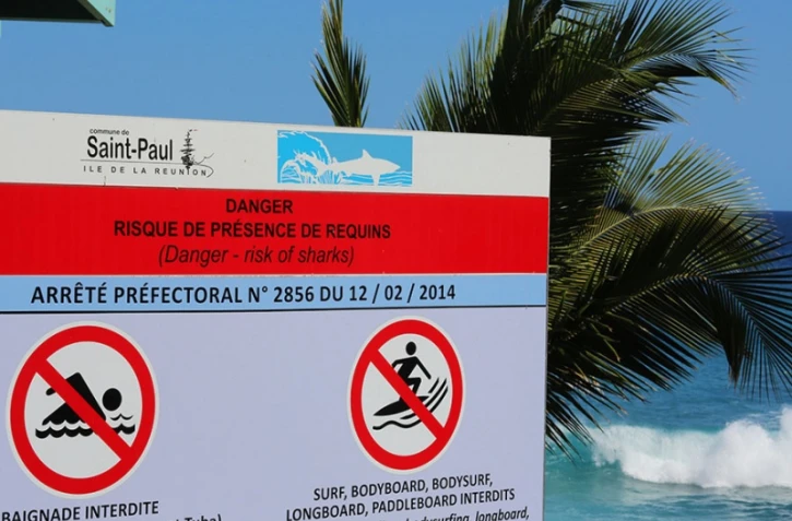 Panneaux  danger requins.