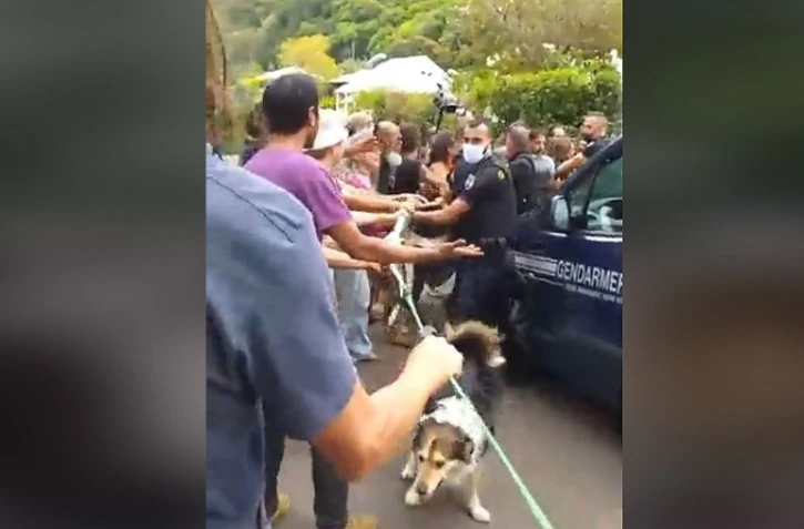Saint-Joseph : nouvelle mobilisation devant les Jardins de Manapany 