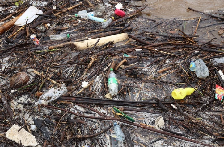 déchets plastiques dans la ravine