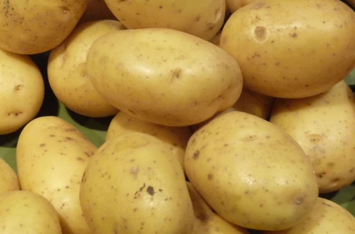 Pomme de terre