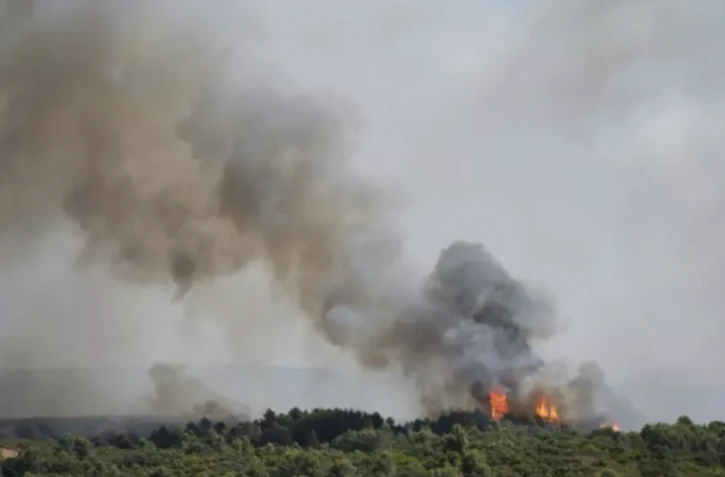 Un incendie dévaste 1.000 hectares dans l'Hérault, dans une France frappée par la sécheresse