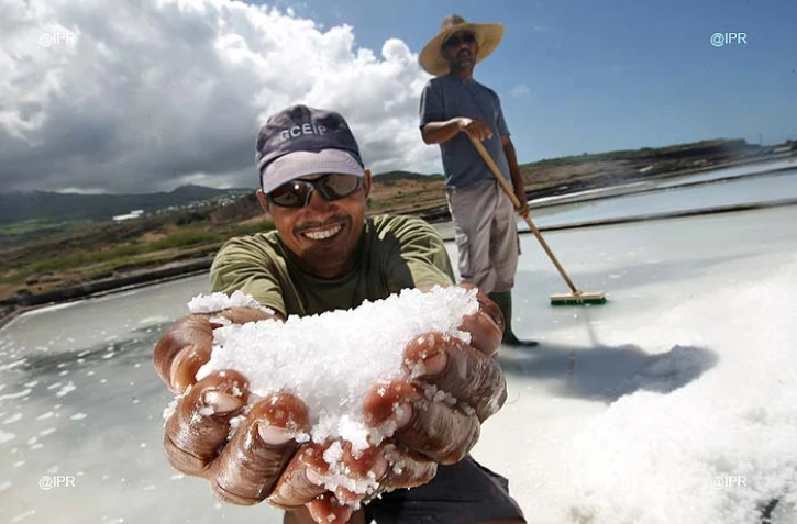 marais salants 