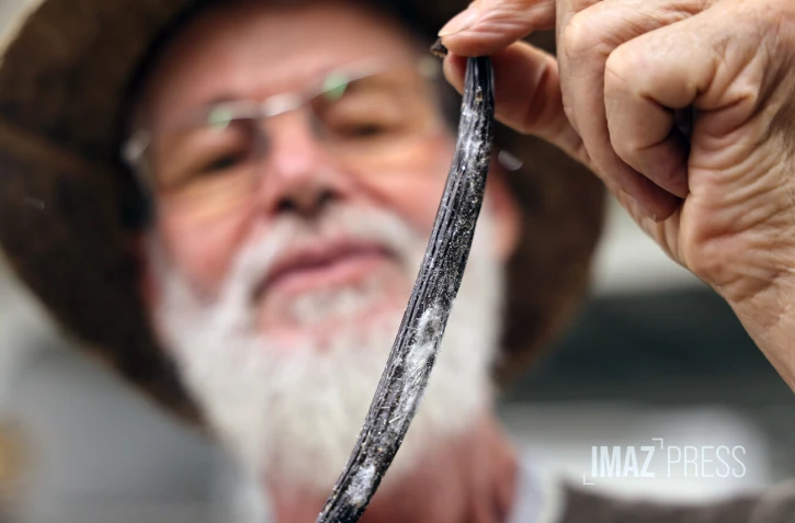 Louis Leichnig  vanille 