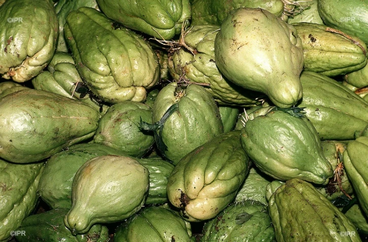 Fête du chouchou 2018