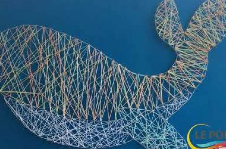 Le port : retrouvez tous les grands moments de la commune sur la chaîne You Tube de la ville du Port