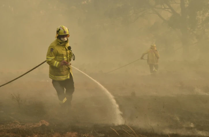 Des pompiers combattent un incendie à Hillville, près de Taree, à 350 km au nord de Sydney, le 12 novembre 2019 en Australie