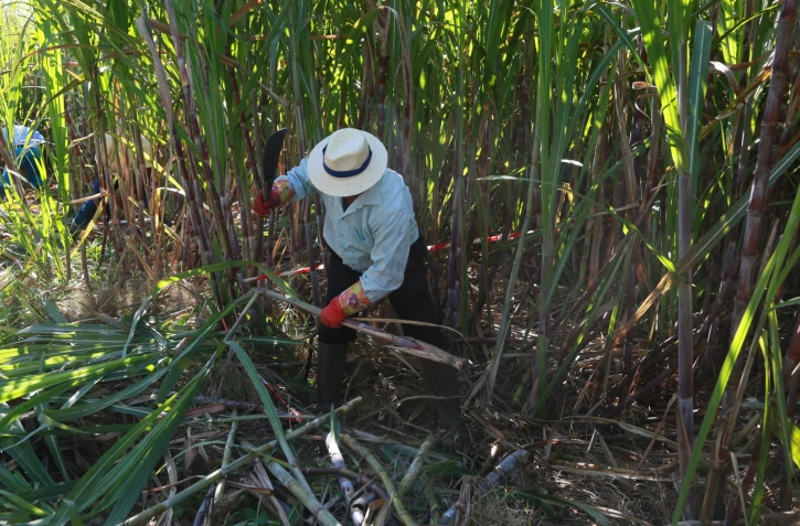 Publi Foire de Bras Panon