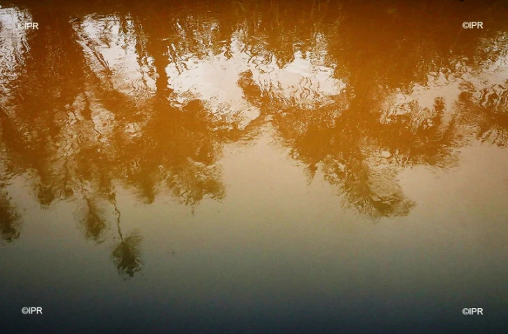 pluie 