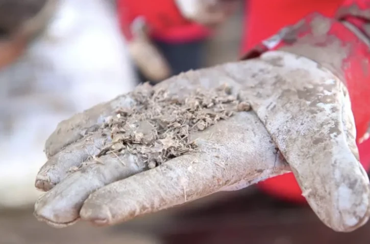 Photo fournie le 20 juin 2024 par l'autorité des antiquités d'Israël, montrant des débris découverts dans une épave datant de plus de 3.000 ans retrouvée en Méditerranée ( Israeli Antiquities Authority / - )
