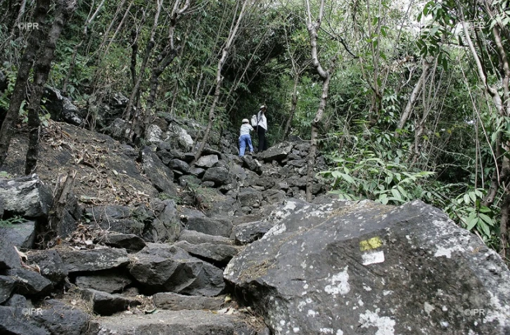 météo Réunion 