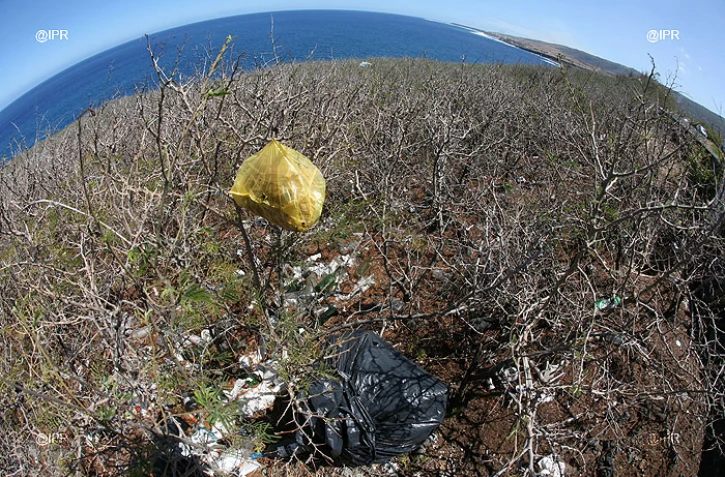 Déchets plastique