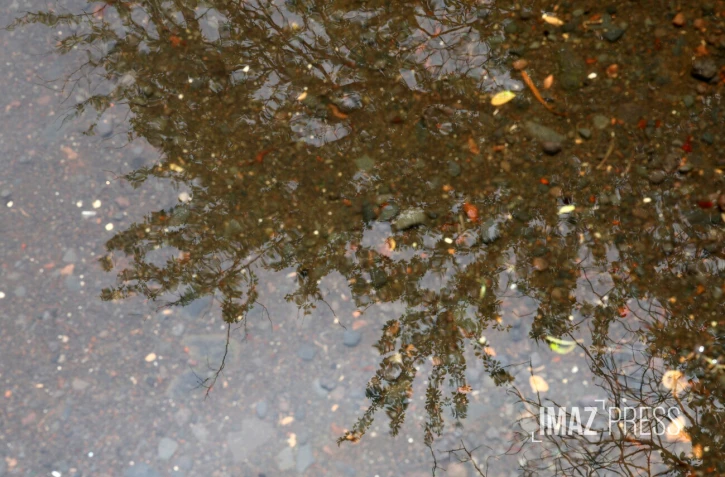 illustration pluie 