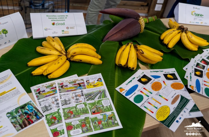 Région Réunion : visite ministérielle au CIRAD