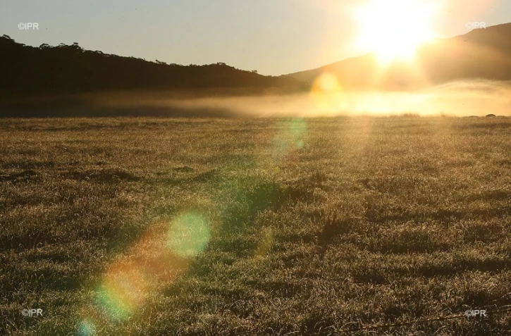 météo réunion 