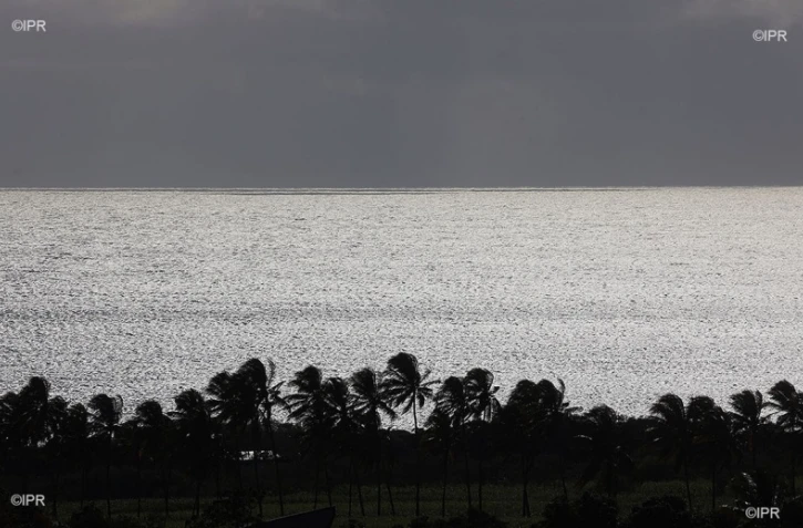 paysages 