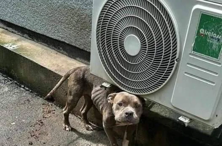 Opération de sauvetage