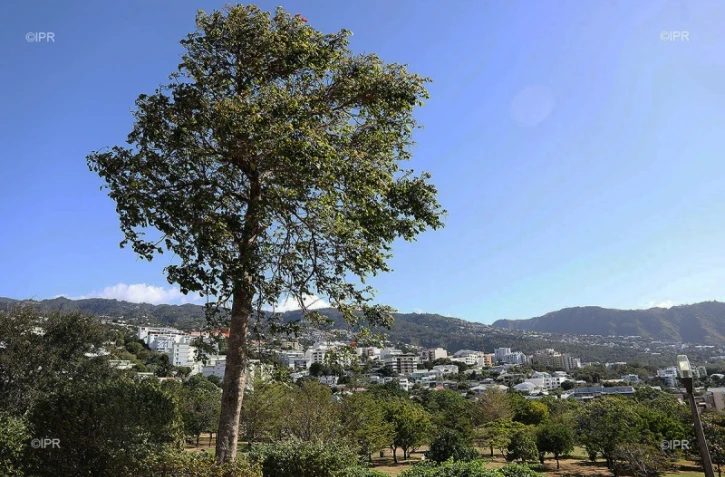 parc de la trinité