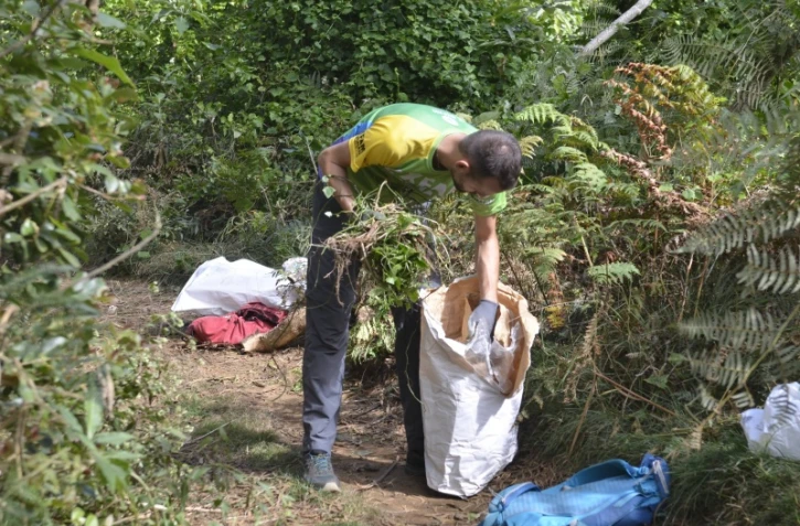 Chantier de lutte contre espèce invasive dans la fôret du Maïdo